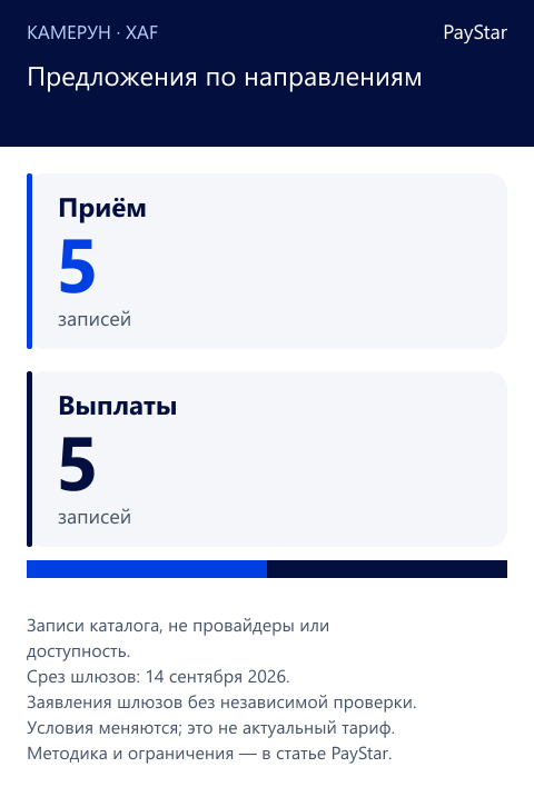 Предложения по направлениям. 10 Cameroon-only catalogue records: 5 collections and 5 payouts. Not a provider count or available routes.