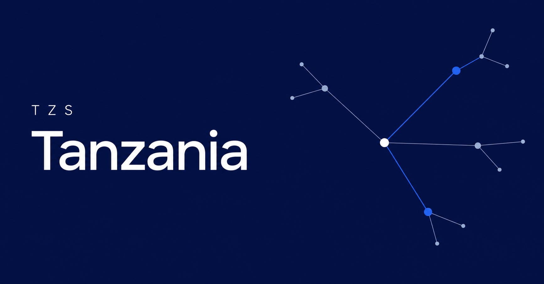 Tanzania and TZS typography beside fine payment-network routes on a navy background.