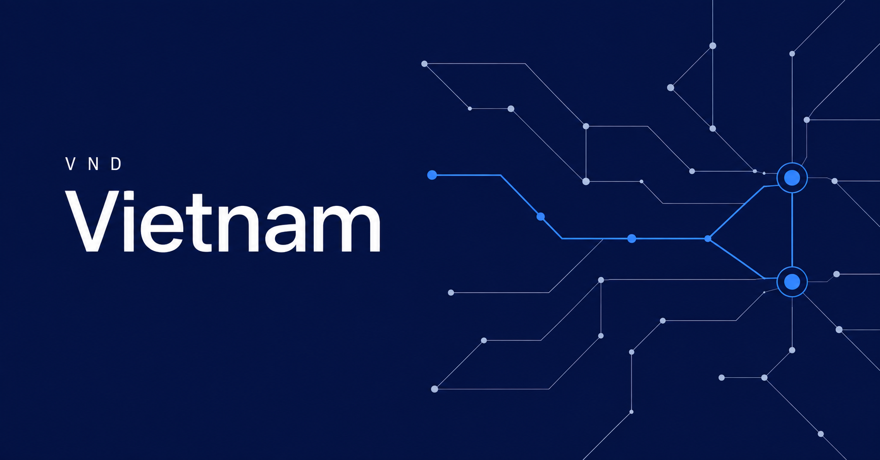 Vietnam and VND typography beside fine payment-network routes on a navy background.