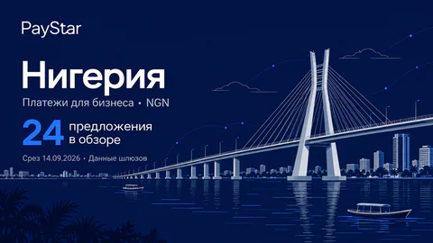 Нигерия: 24 предложения в обзоре; Платежи для бизнеса · NGN. Navy editorial landscape.