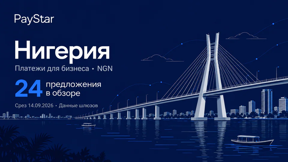 Нигерия: 24 предложения в обзоре; Платежи для бизнеса · NGN. Navy editorial landscape.
