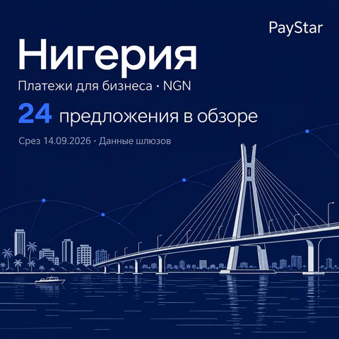 Нигерия: 24 предложения в обзоре; Платежи для бизнеса · NGN. Navy editorial landscape.