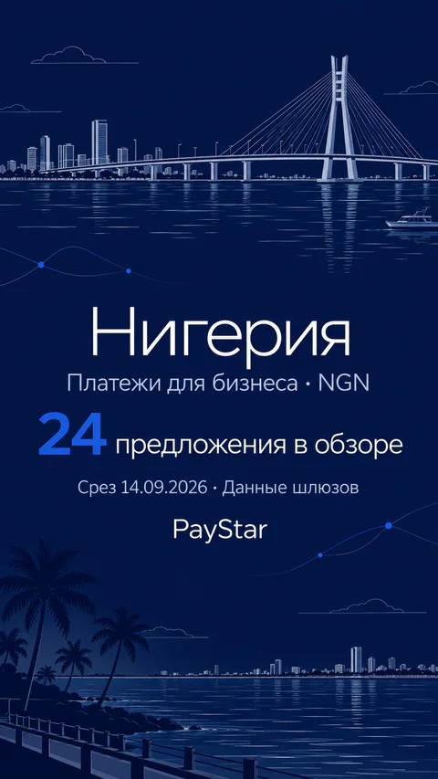 Нигерия: 24 предложения в обзоре; Платежи для бизнеса · NGN. Navy editorial landscape.