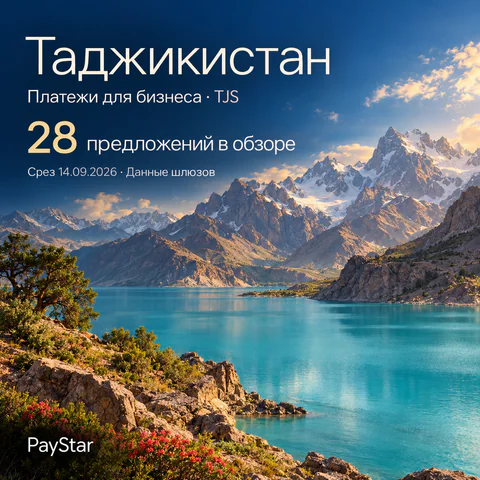 Таджикистан: 28 предложений в обзоре; Платежи для бизнеса · TJS. Bright editorial landscape.