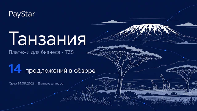 Танзания: 14 предложений в обзоре; Платежи для бизнеса · TZS. Navy editorial landscape.