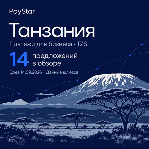 Танзания: 14 предложений в обзоре; Платежи для бизнеса · TZS. Navy editorial landscape.