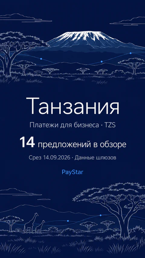 Танзания: 14 предложений в обзоре; Платежи для бизнеса · TZS. Navy editorial landscape.