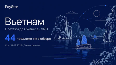 Вьетнам: 44 предложения в обзоре; Платежи для бизнеса · VND. Navy editorial landscape.