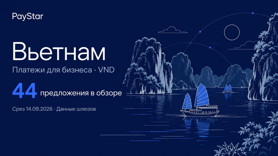 Вьетнам: 44 предложения в обзоре; Платежи для бизнеса · VND. Navy editorial landscape.