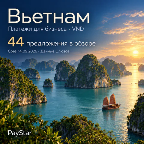Вьетнам: 44 предложения в обзоре; Платежи для бизнеса · VND. Bright editorial landscape.