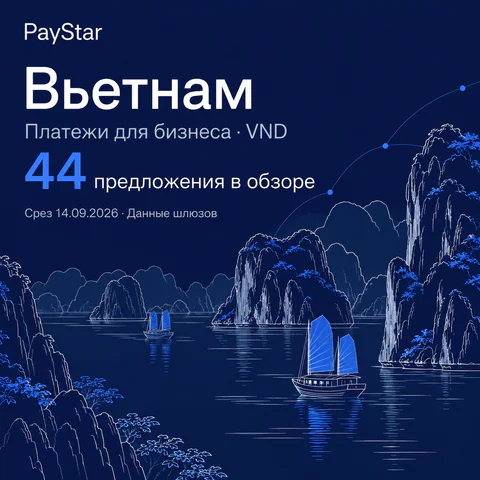 Вьетнам: 44 предложения в обзоре; Платежи для бизнеса · VND. Navy editorial landscape.
